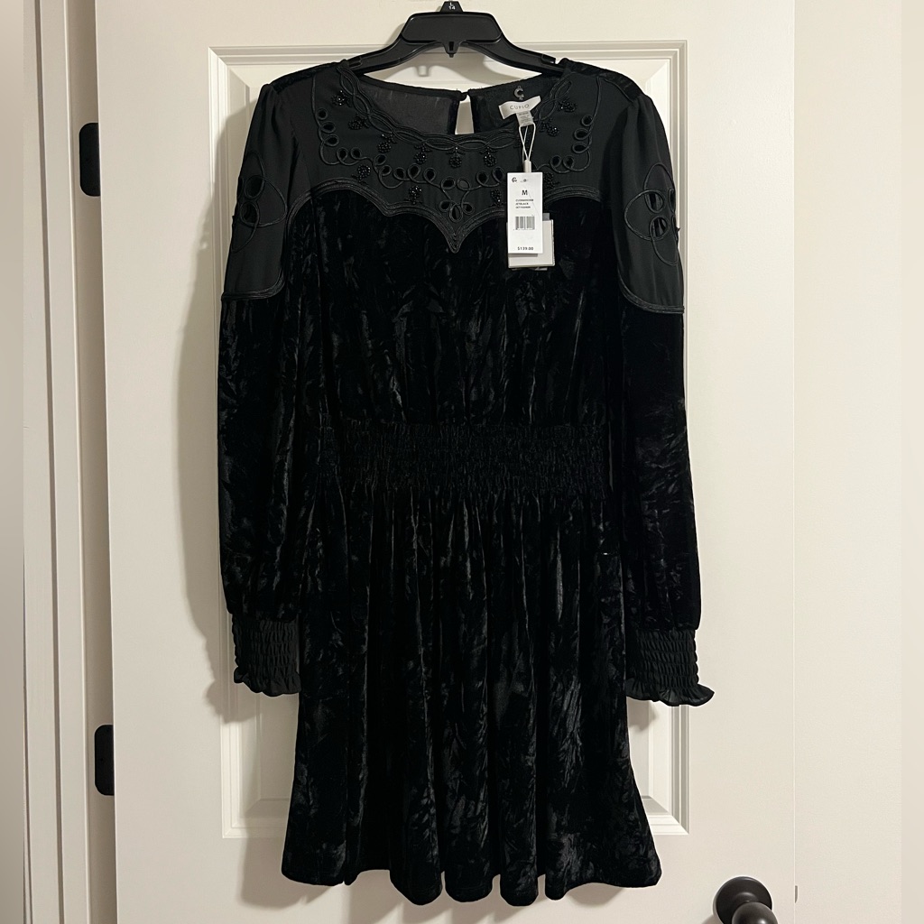 Cupio Black Long Sleeve Velvet Dress - Nwt